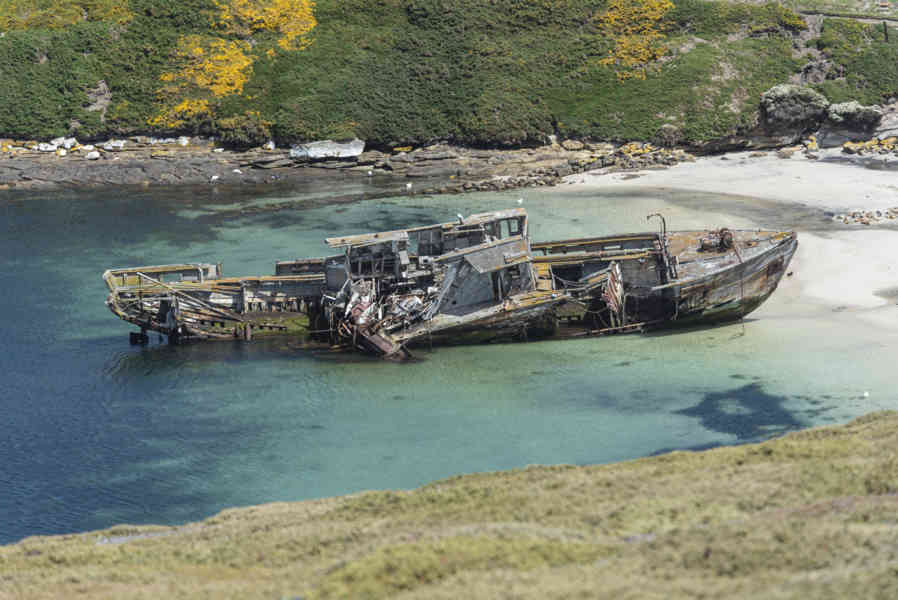 Islas Falkland o Malvinas 060 - New Island.jpg